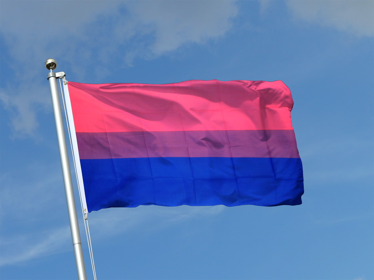 Bi Pride Flag.