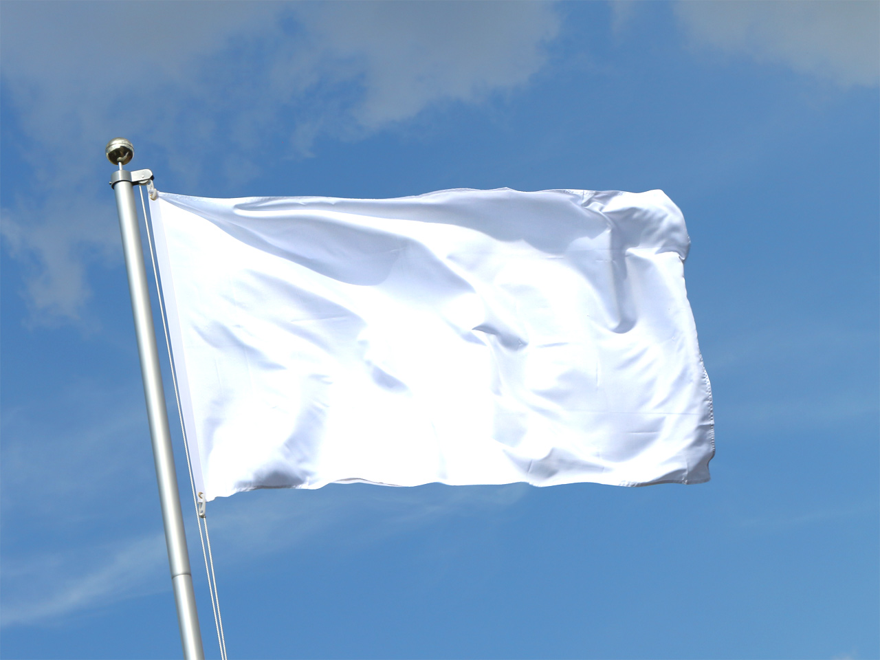 Белый французский флаг