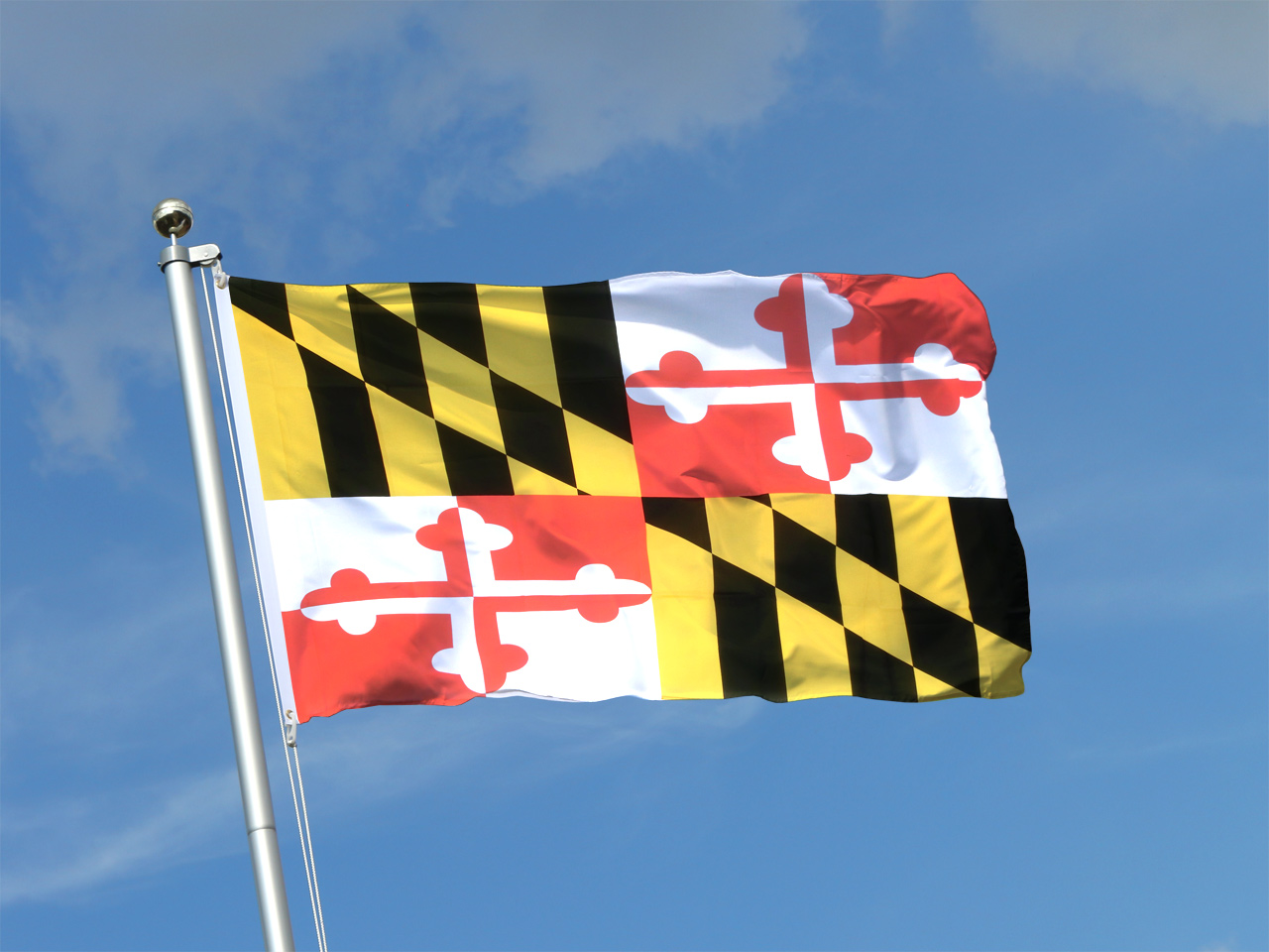 Maryland Flag.