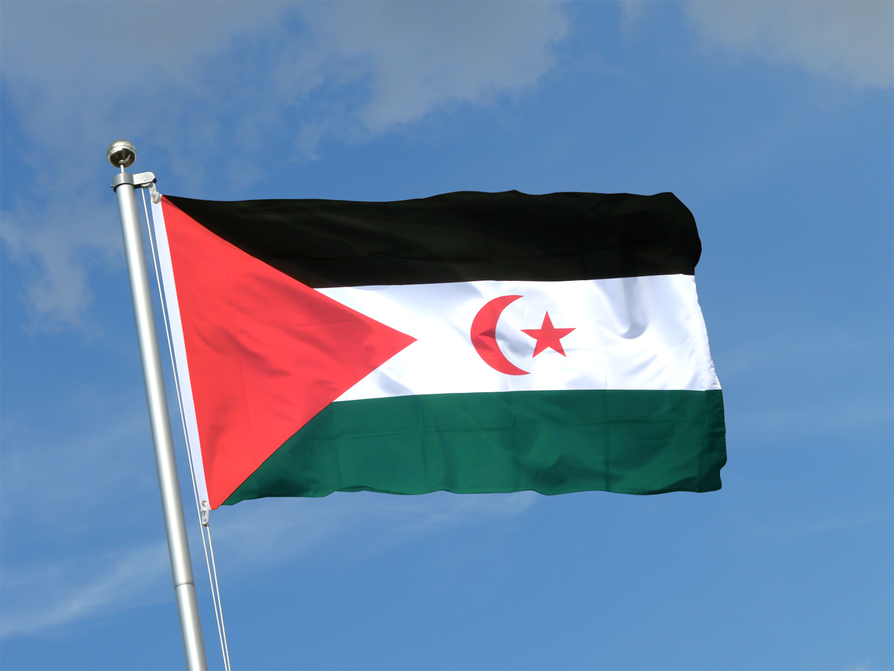 Western Sahara Flag For Sale Buy Online At Royal Flags