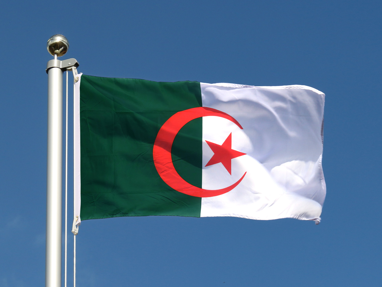 Algeria Flag For Sale Buy Online At Royal Flags