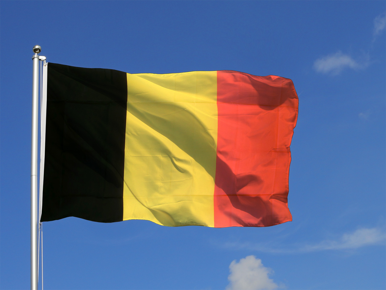 Belgium Flag Ww2 At Ryan Boland Blog