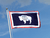 Drapeau Wyoming
