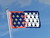 Pay de la Loire Flag