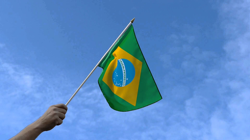 Brésil - Drapeau sur hampe 30 x 45 cm