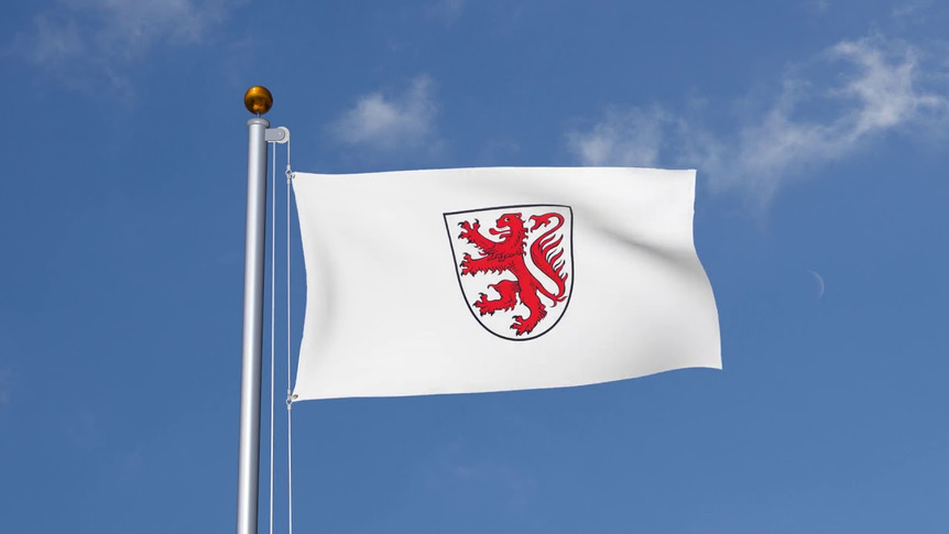 Stadt Braunschweig mit Wappen - Flagge 90 x 150 cm
