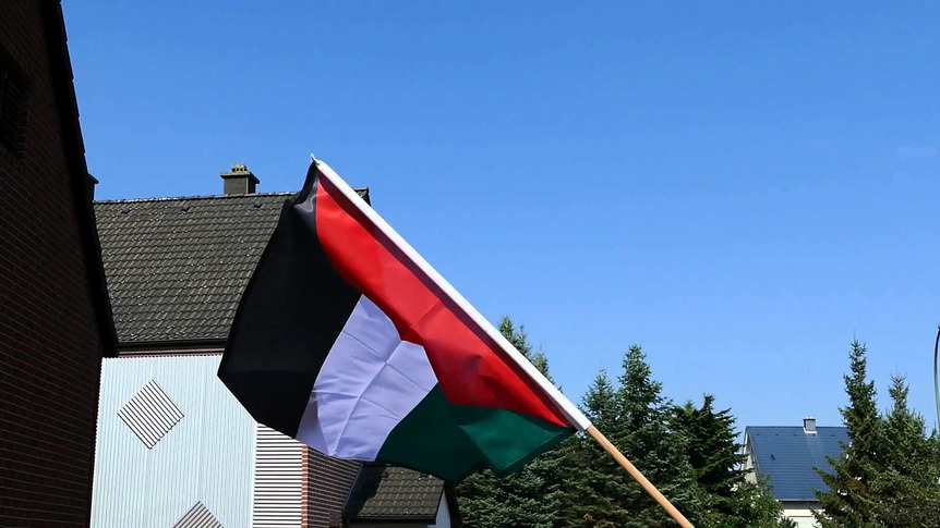 Palestine - Hand Waving Flag PRO 2x3 ft