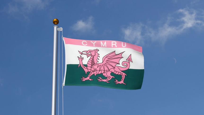 Wales CYMRU Pink - Flagge 90 x 150 cm