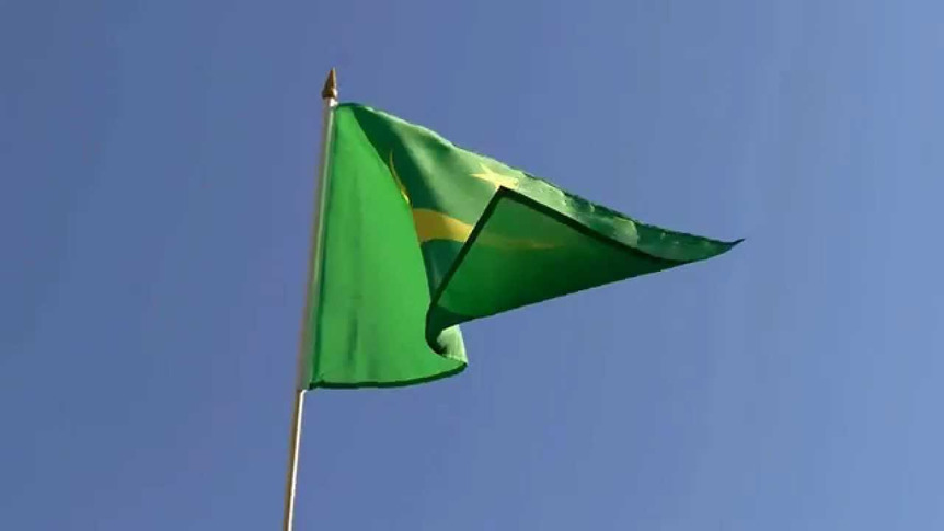 Mauritania - Hand Waving Flag 12x18"