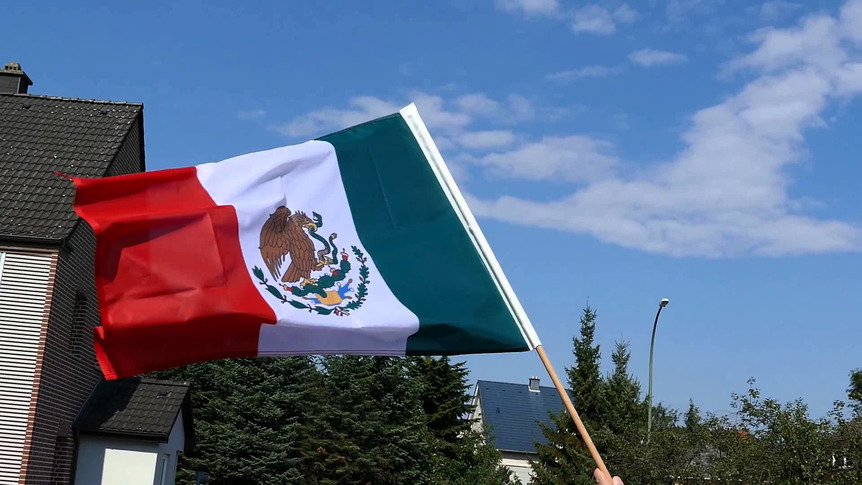 Mexico - Hand Waving Flag PRO 2x3 ft