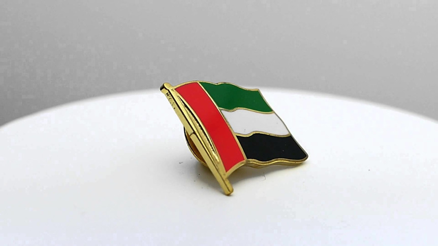 Vereinigte Arabische Emirate - Flaggen Pin 2 x 2 cm