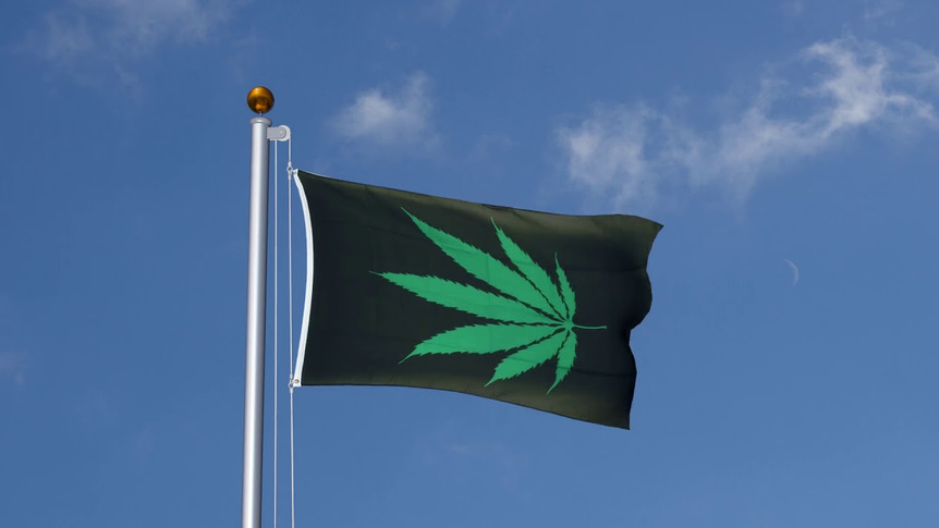 Cannabis - Flagge 90 x 150 cm