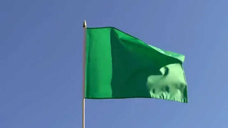 Grüne - Stockflagge 30 x 45 cm