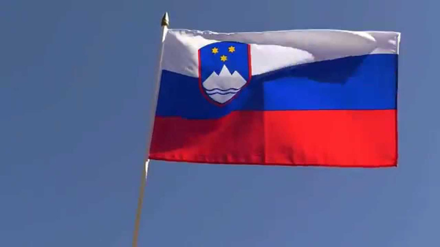 Slowenien - Stockflagge 30 x 45 cm