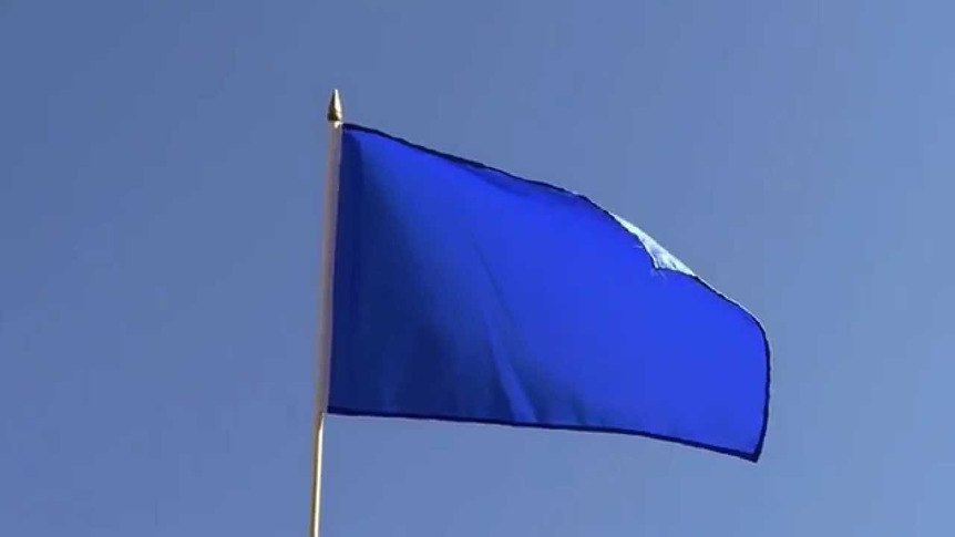 Blaue - Stockflagge 30 x 45 cm