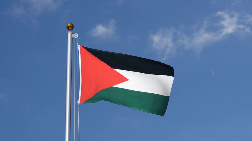 Palestine - 3x5 ft Flag
