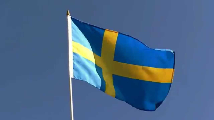 Sweden - Hand Waving Flag 12x18"