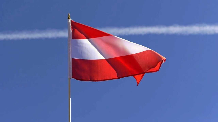 Österreich - Stockflagge 30 x 45 cm
