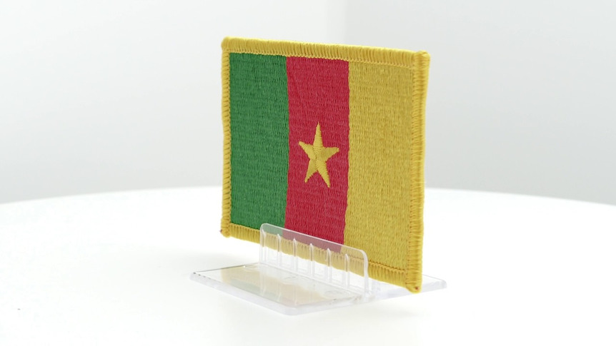Cameroun - Écusson 6 x 8 cm