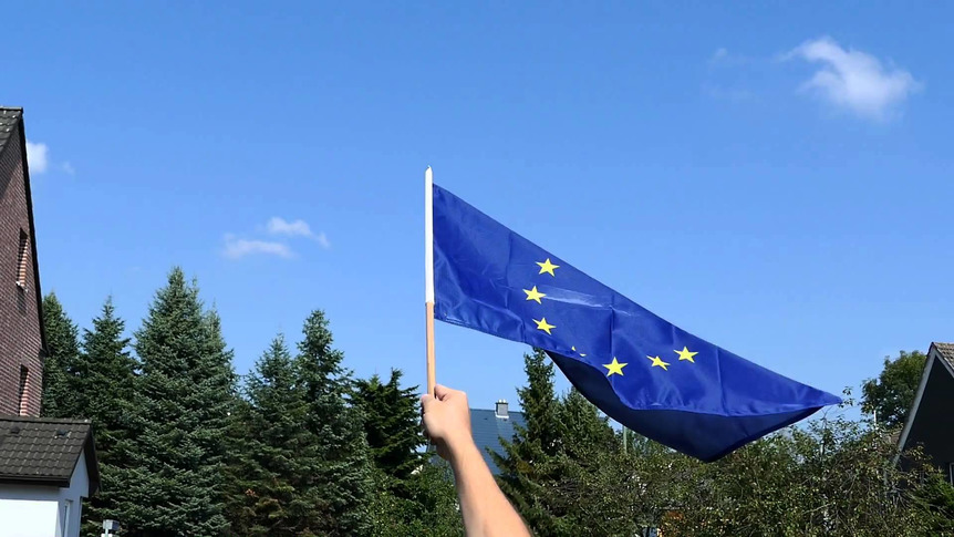 Union européenne UE - Drapeau sur hampe PRO 60 x 90 cm