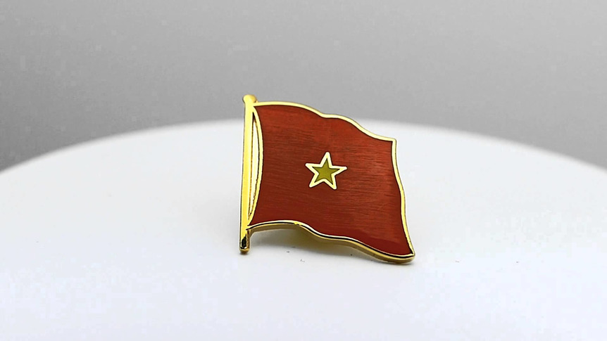 Vietnam - Flaggen Pin 2 x 2 cm