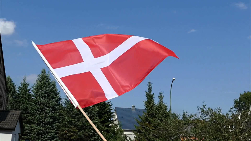 Dänemark - Stockflagge PRO 60 x 90 cm