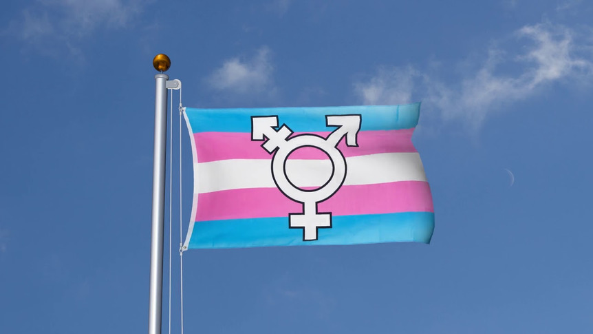 Transgender Symbol - Flagge 90 x 150 cm