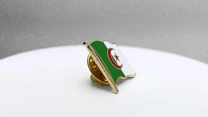 Algerien - Flaggen Pin 2 x 2 cm