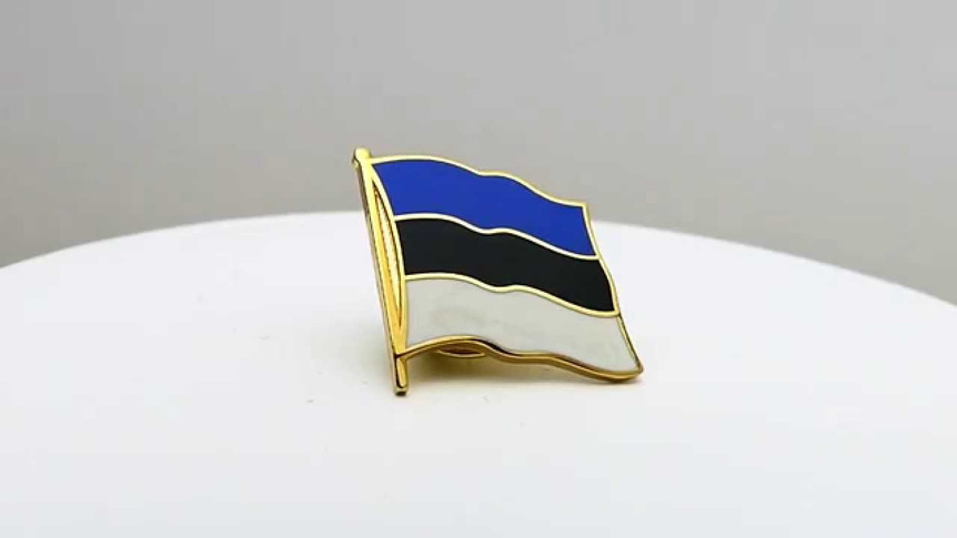 Estonie - Pin's drapeau 2 x 2 cm