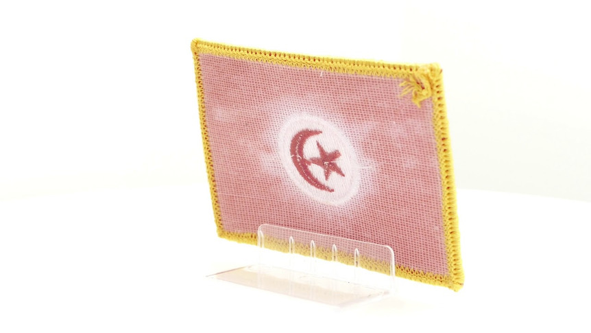 Tunisie - Écusson 6 x 8 cm