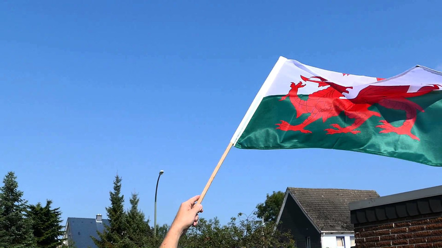 Pays de Galles - Drapeau sur hampe PRO 60 x 90 cm