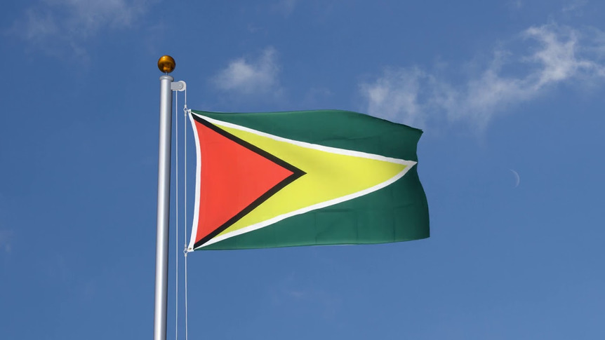 Guyana - 3x5 ft Flag