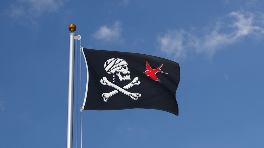 Pirate Sparrow - 3x5 ft Flag