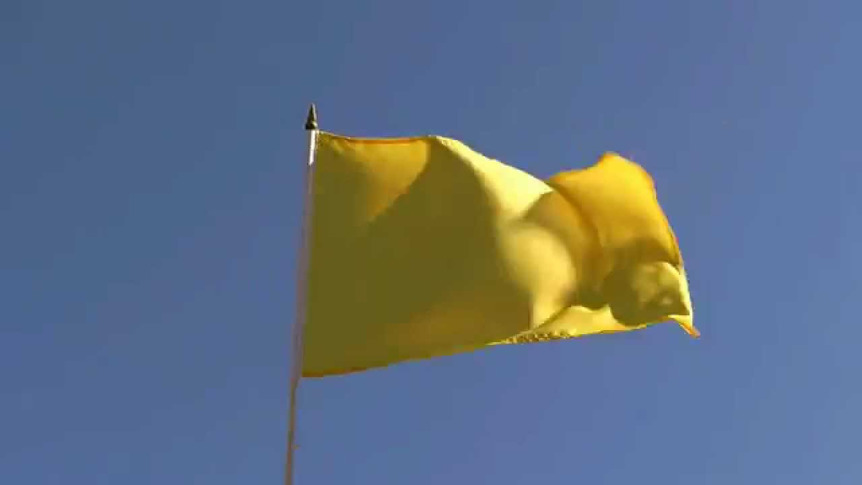 Gelbe - Stockflagge 30 x 45 cm