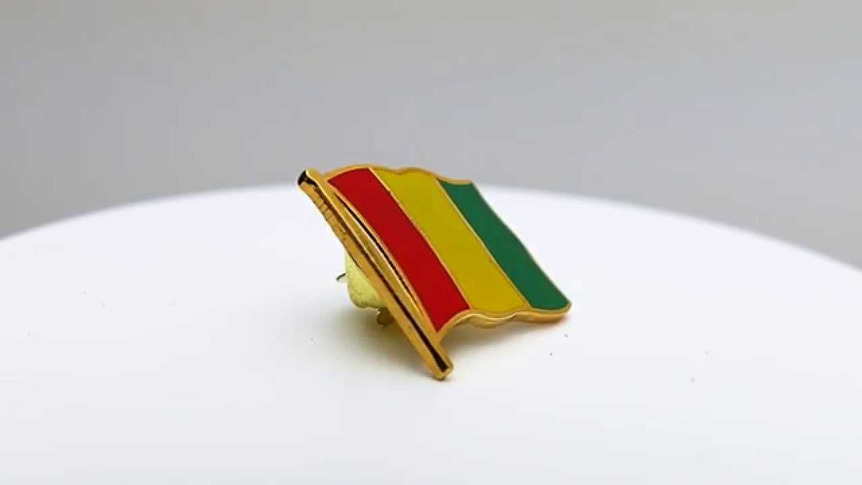 Guinée - Pin's drapeau 2 x 2 cm