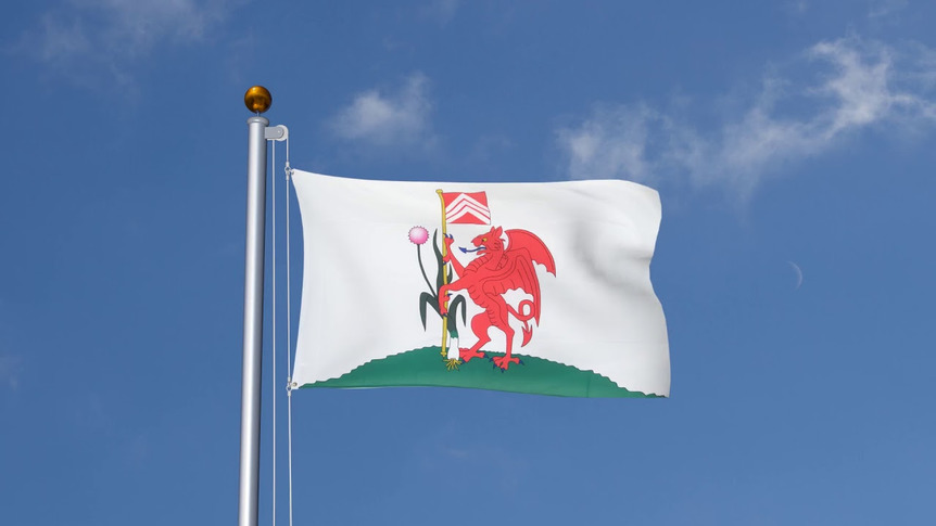 Cardiff City - Flagge 90 x 150 cm