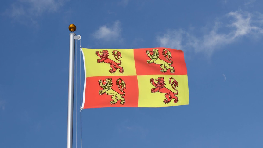 Wales Royal Owain Glyndwr - Flagge 90 x 150 cm