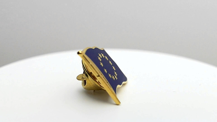 Europäische Union EU - Flaggen Pin 2 x 2 cm
