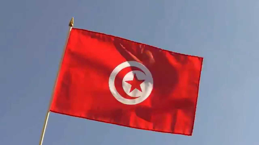 Tunisie - Drapeau sur hampe 30 x 45 cm