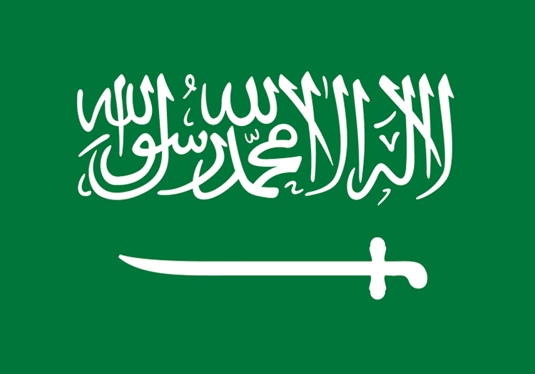 "Saudi arabia flag" image search results